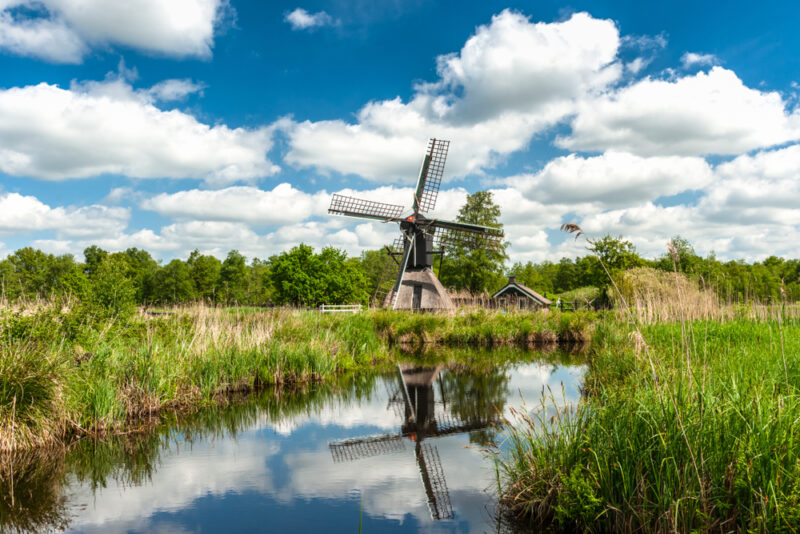 Typical,Dutch,Spinnekop,Mill,In,The,National,Landscape,The,Weerribben